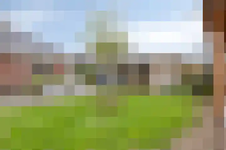Wiekenkruis 25 Halsteren thumbnail 45