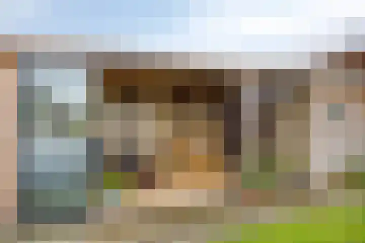 Wiekenkruis 25 Halsteren thumbnail 6