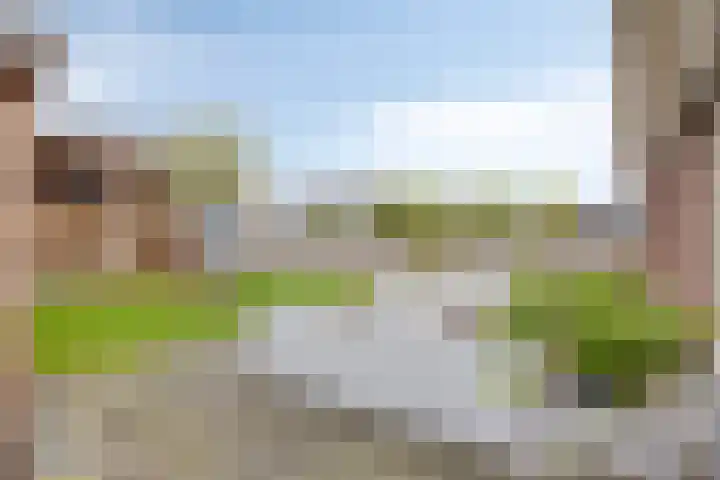 Wiekenkruis 25 Halsteren thumbnail 7