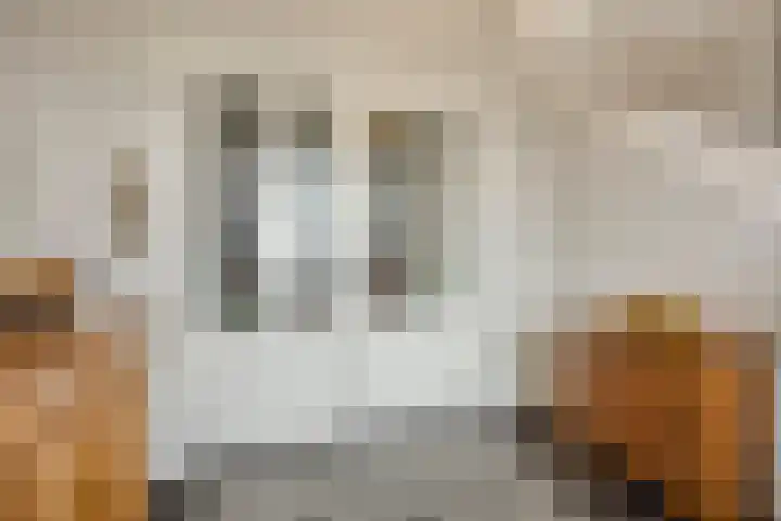 Wiekenkruis 25 Halsteren thumbnail 9