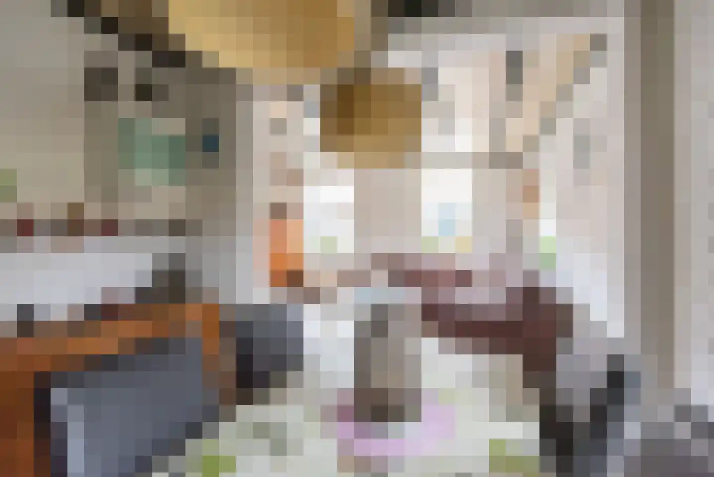 Wiekenseweg 15 Gendringen thumbnail 10