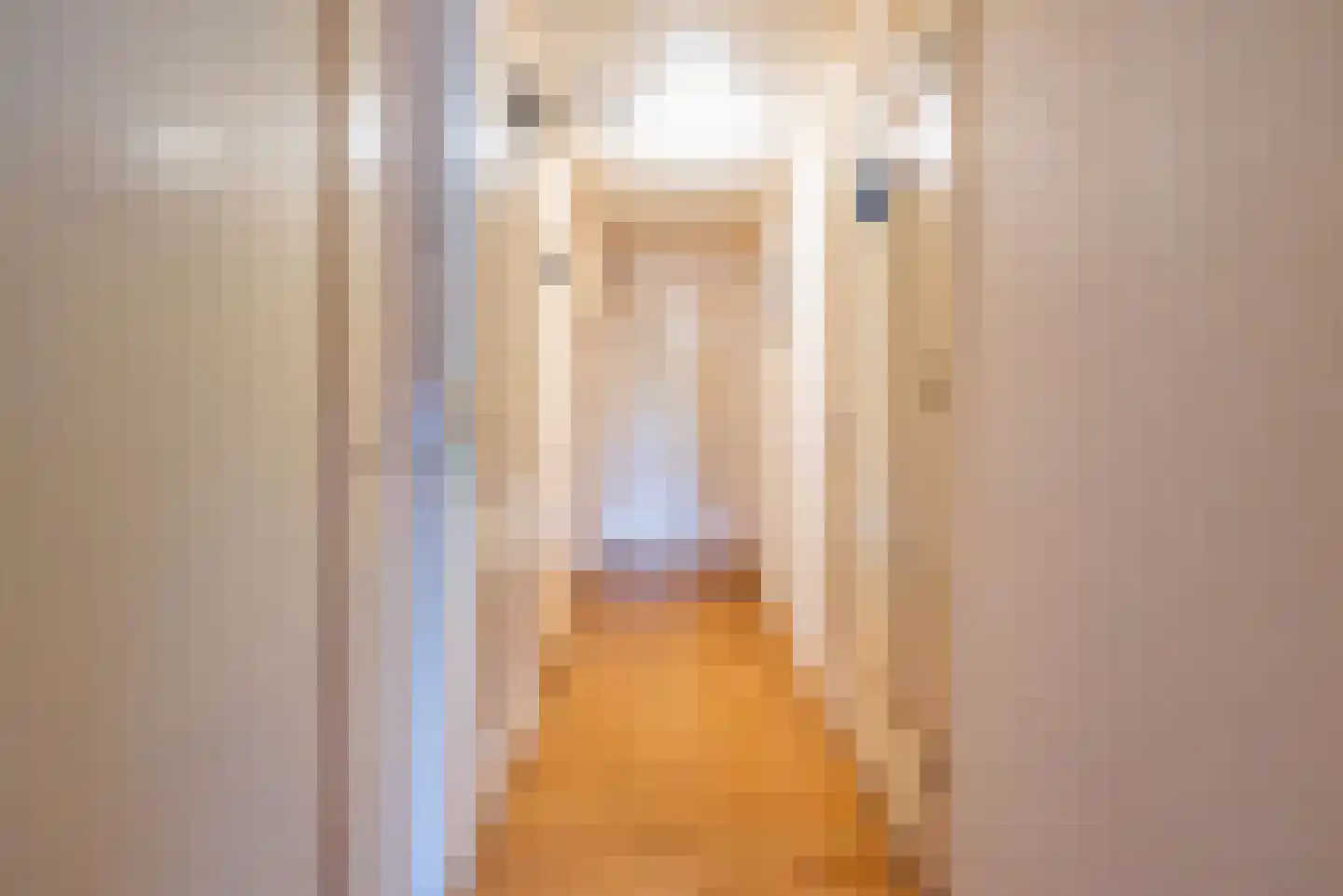 Wiekenseweg 15 Gendringen thumbnail 31