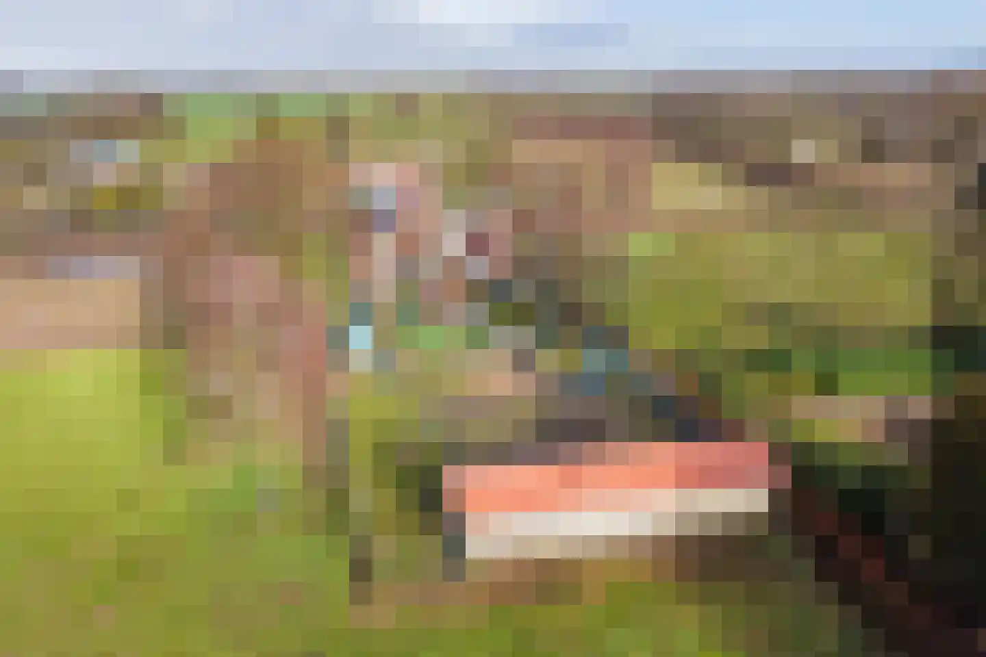 Wiekenseweg 15 Gendringen thumbnail 38