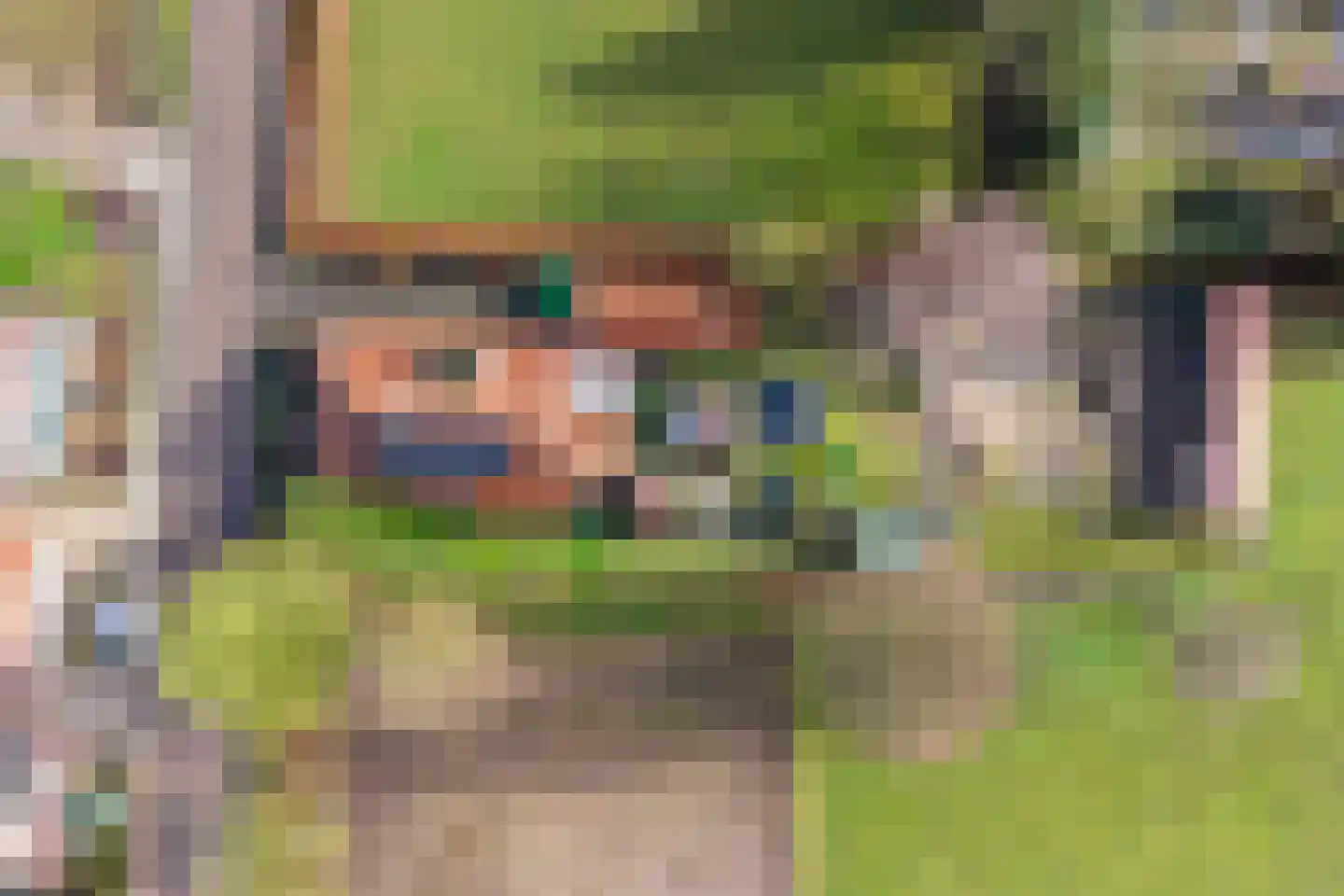 Wiekenseweg 15 Gendringen thumbnail 39