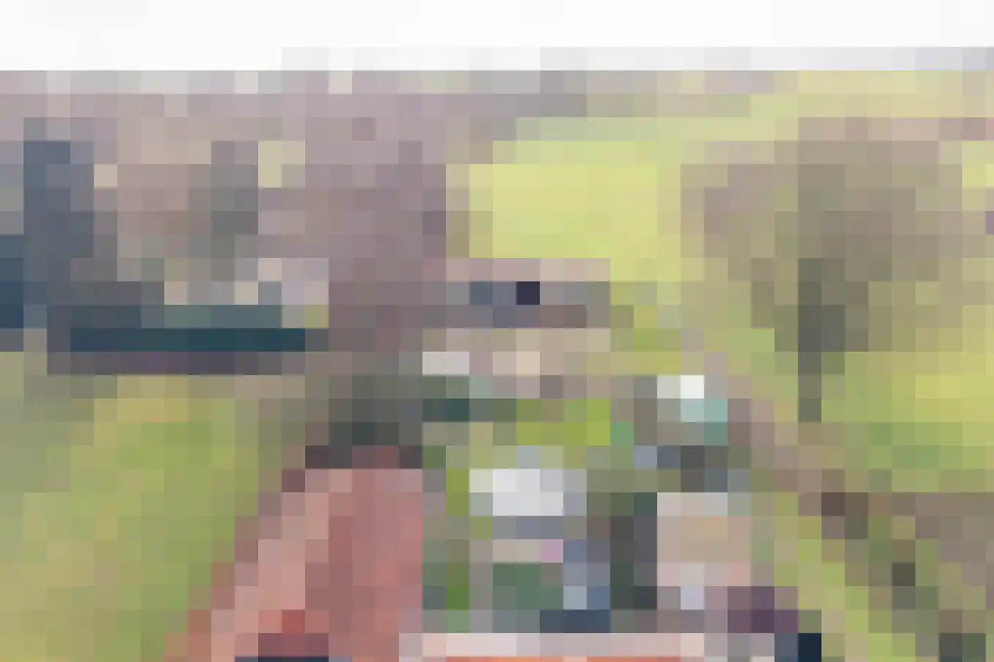 Wiekenseweg 15 Gendringen thumbnail 41