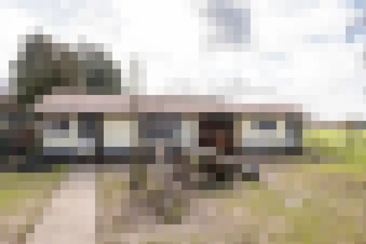 Wiekenseweg 15 Gendringen thumbnail 45
