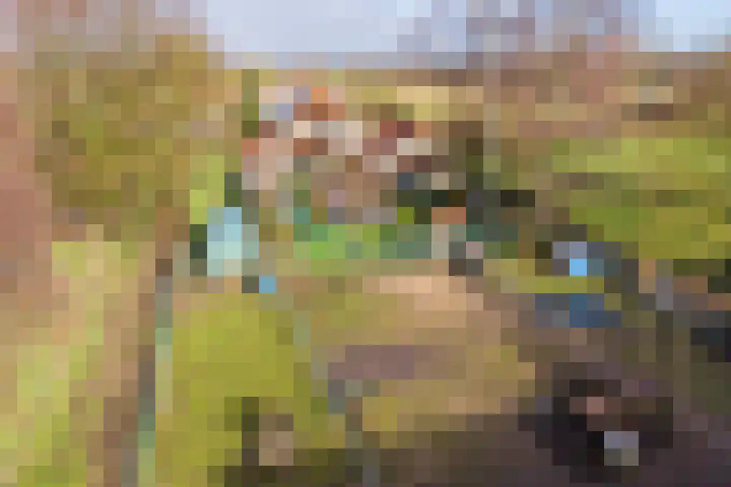 Wiekenseweg 15 Gendringen thumbnail 47