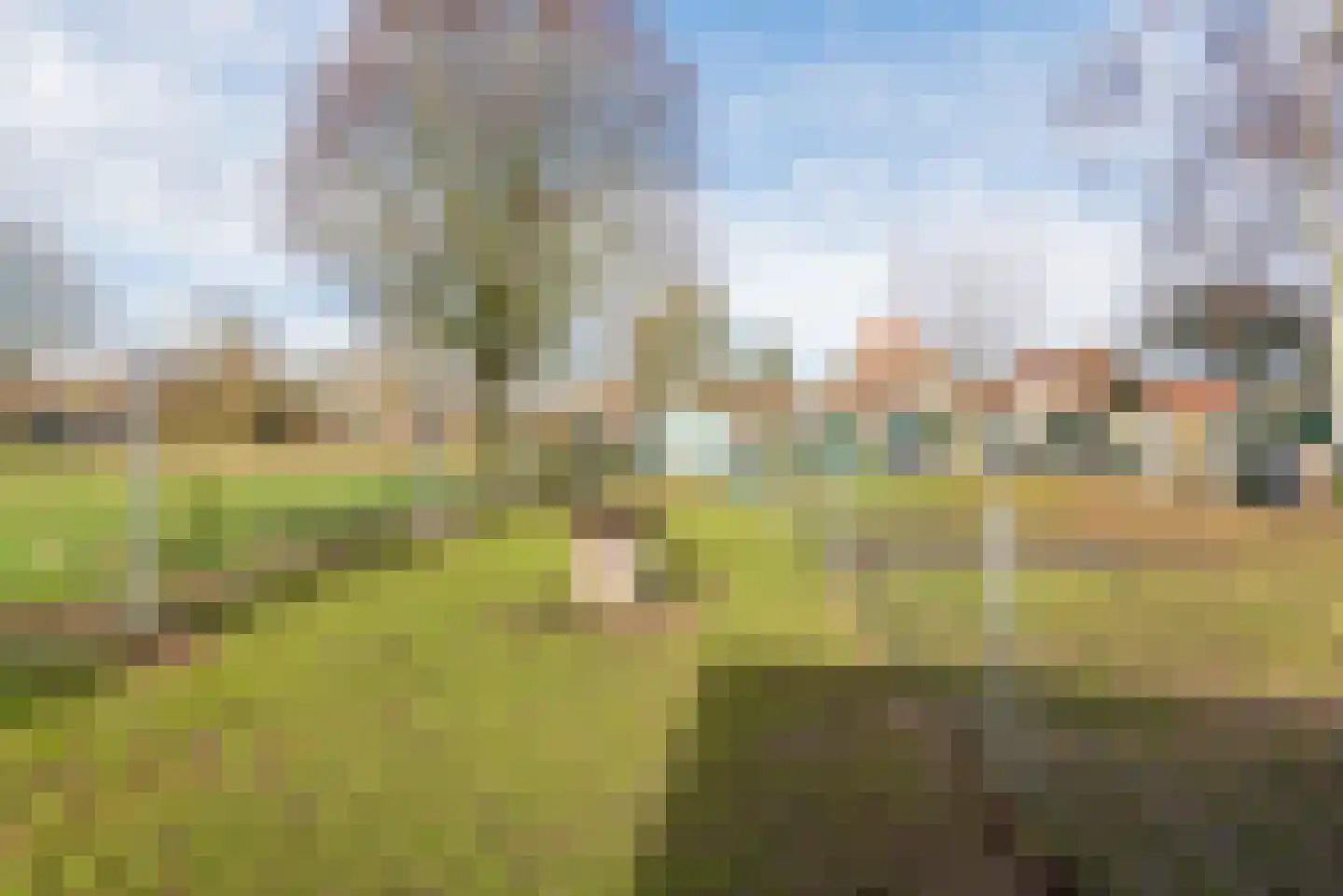Wiekenseweg 15 Gendringen thumbnail 48