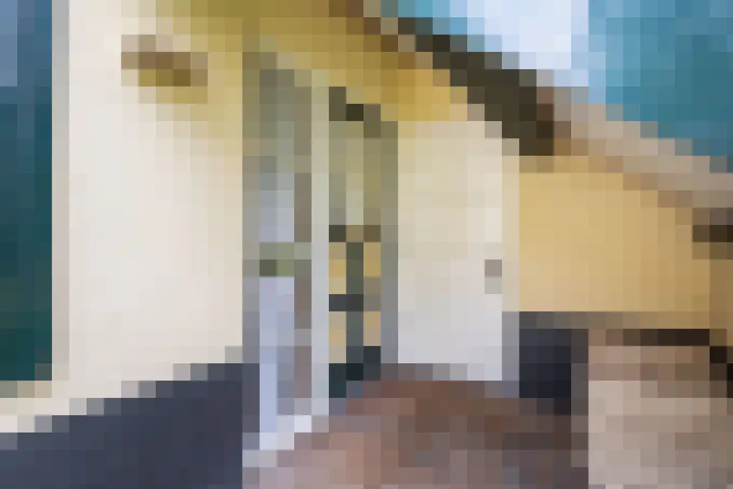 Wiekenseweg 15 Gendringen thumbnail 6