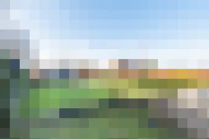 Wiekenseweg 23 Gendringen thumbnail 35