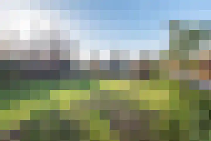 Wiekenseweg 23 Gendringen thumbnail 36