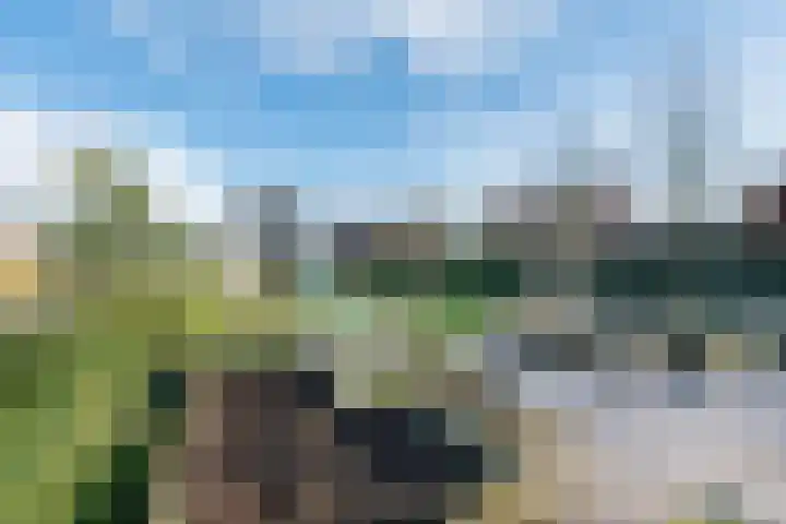 Wiekenseweg 23 Gendringen thumbnail 39