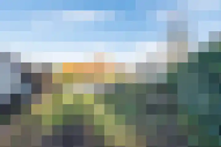 Wiekenseweg 23 Gendringen thumbnail 40