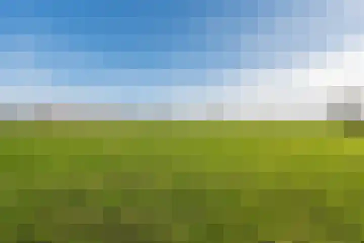 Wiekenseweg 23 Gendringen thumbnail 48