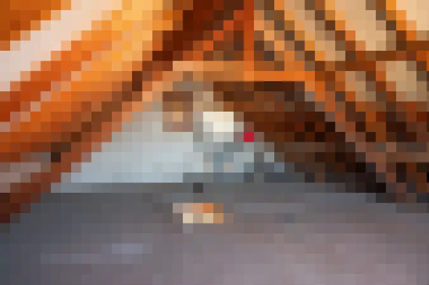 Wiekenseweg 26 Gendringen thumbnail 35
