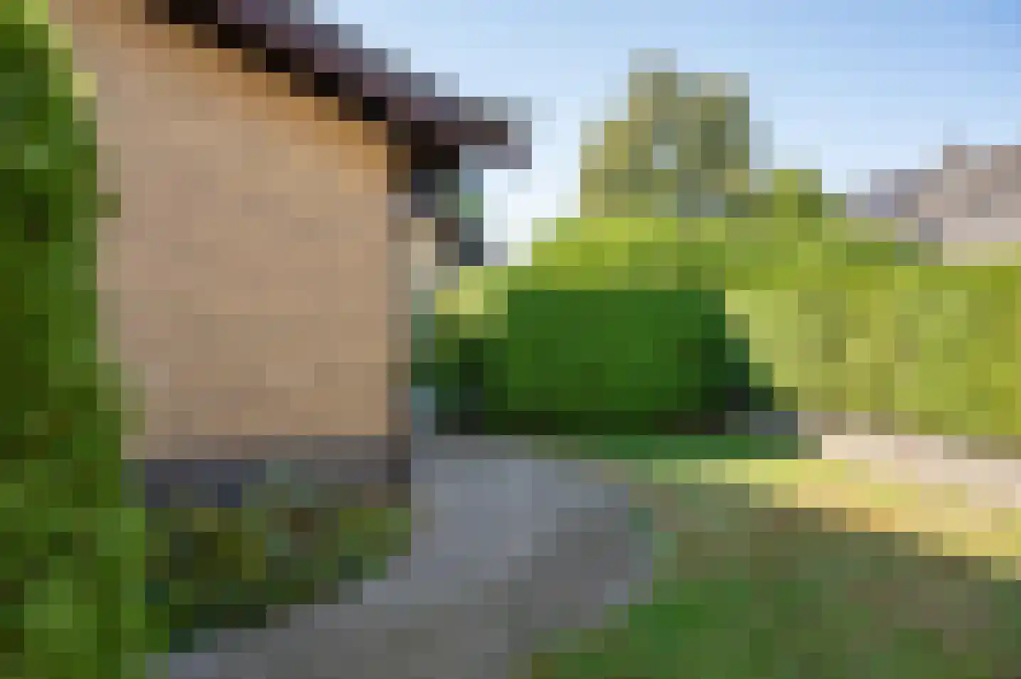 Wiekenseweg 26 Gendringen thumbnail 38