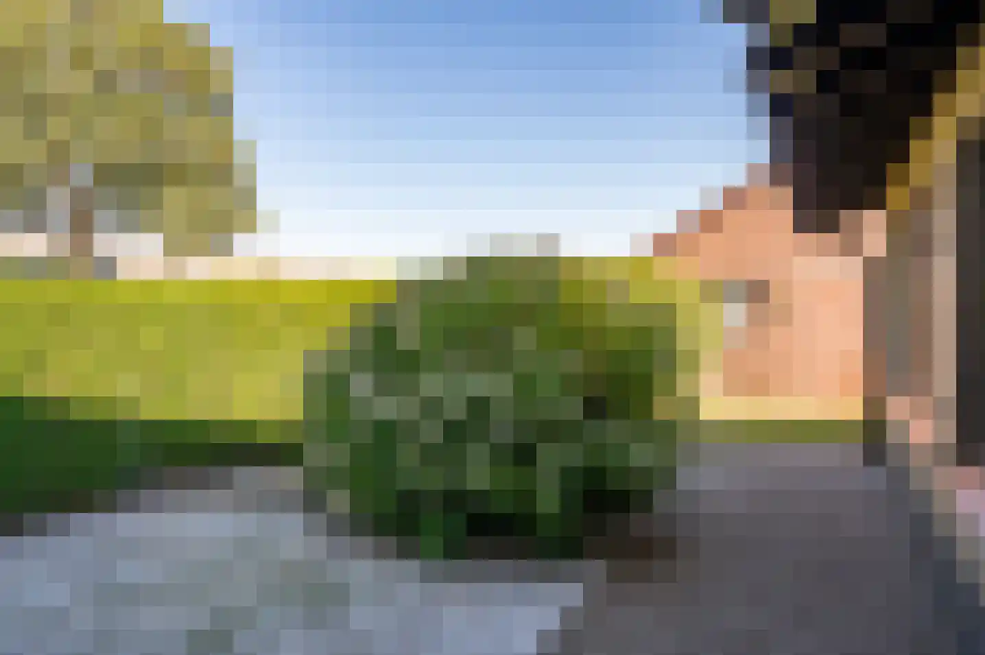 Wiekenseweg 26 Gendringen thumbnail 40