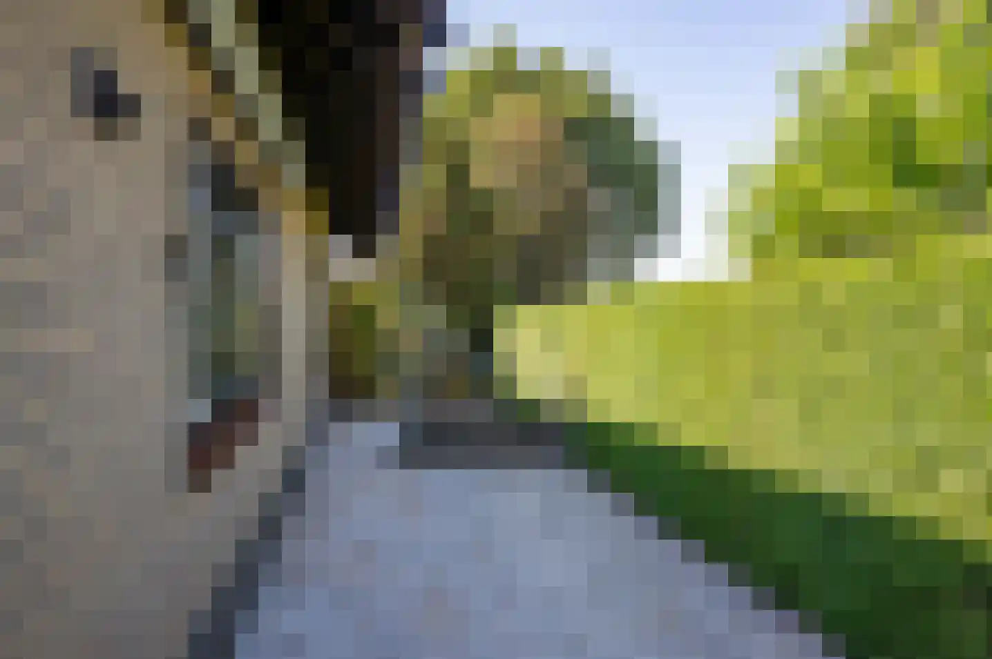 Wiekenseweg 26 Gendringen thumbnail 41