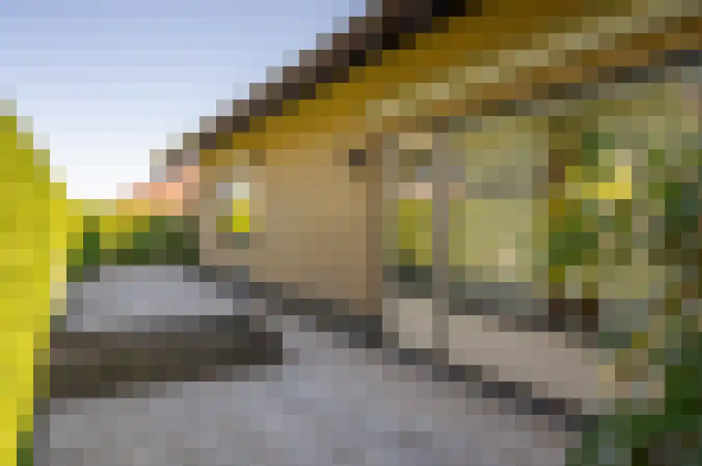 Wiekenseweg 26 Gendringen thumbnail 42