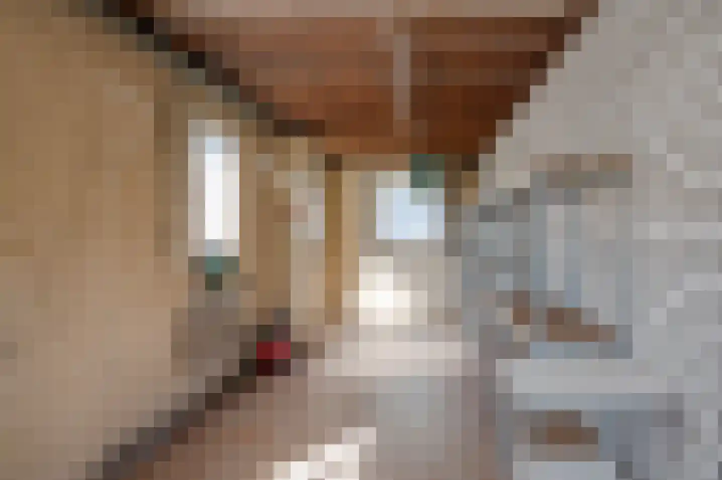 Wiekenseweg 26 Gendringen thumbnail 46
