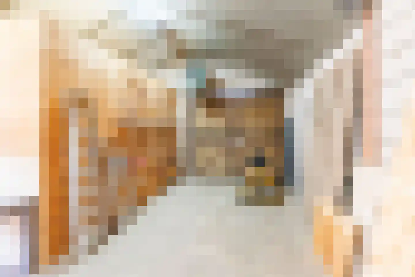 Wiekenseweg 36 Gendringen thumbnail 45