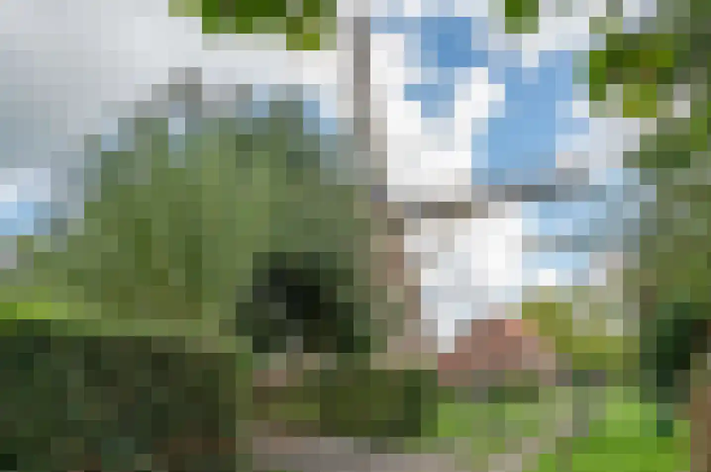 Wiekenweg 7 Zelhem thumbnail 6