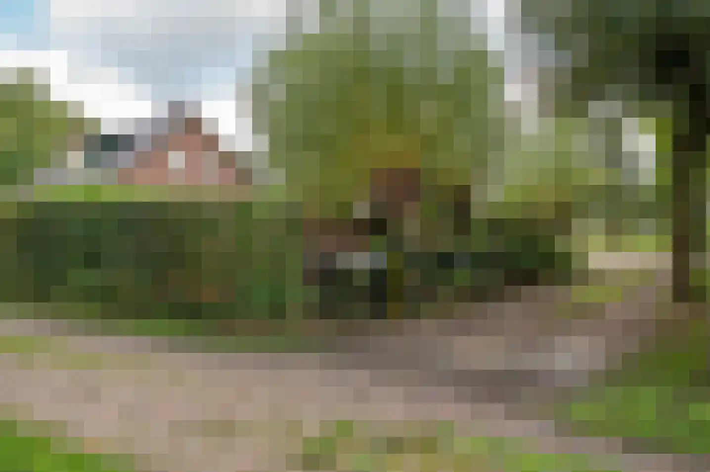 Wiekenweg 7 Zelhem thumbnail 8