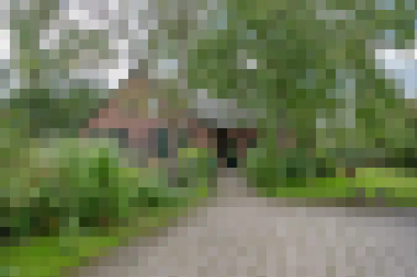 Wiekenweg 7 Zelhem thumbnail 9