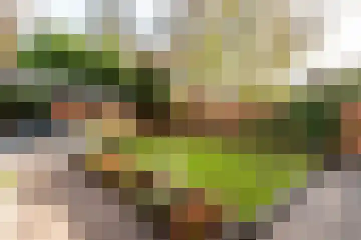 Wiekslag 1 Ermelo thumbnail 40