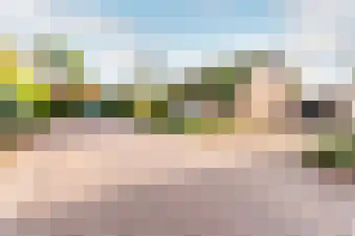 Wiekslag 1 Ermelo thumbnail 49