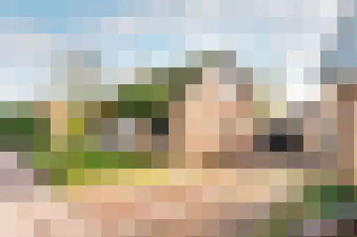 Wiekslag 1 Ermelo thumbnail 50
