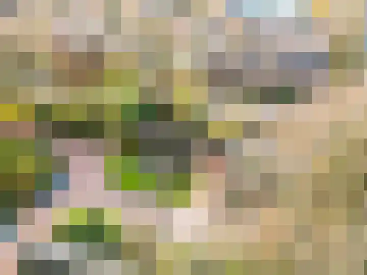 Wiekslag 1 Ermelo thumbnail 52