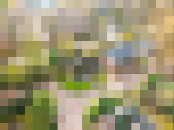 Wiekslag 1 Ermelo thumbnail 53
