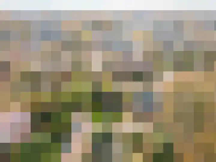 Wiekslag 1 Ermelo thumbnail 54
