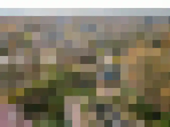 Wiekslag 1 Ermelo thumbnail 55