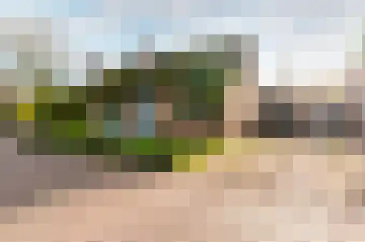 Wiekslag 1 Ermelo thumbnail 7
