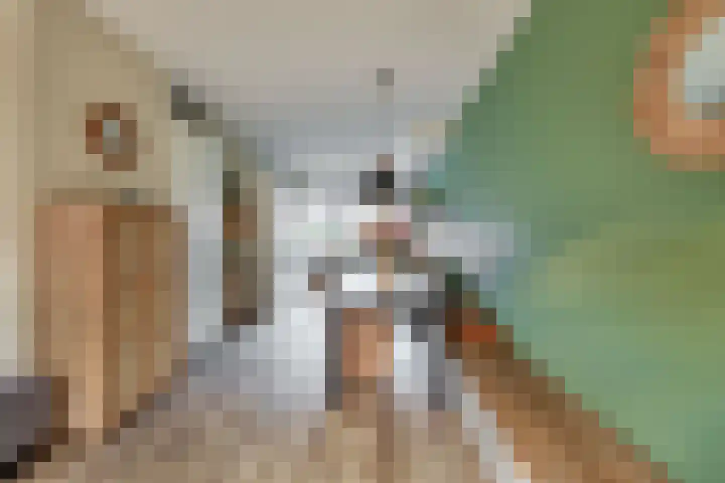Wiekslag 10 Moerkapelle thumbnail 11