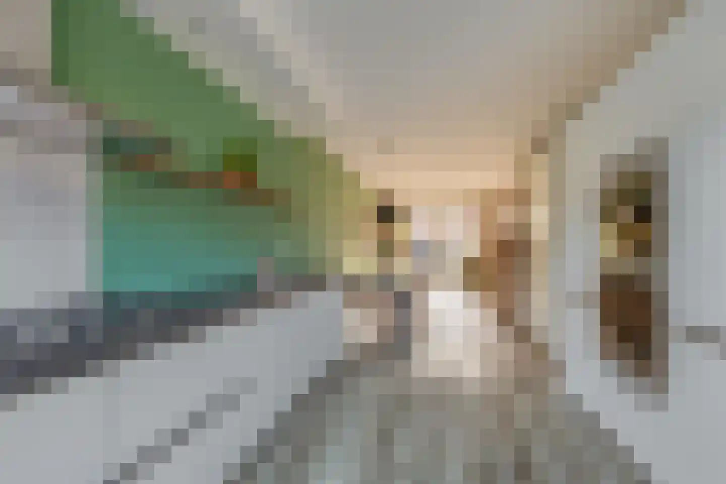 Wiekslag 10 Moerkapelle thumbnail 14
