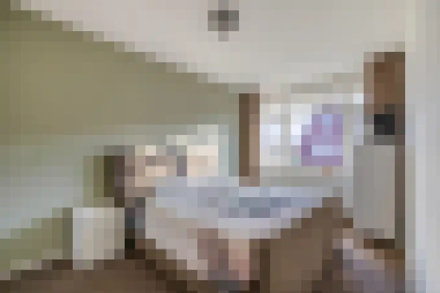 Wiekslag 10 Moerkapelle thumbnail 17