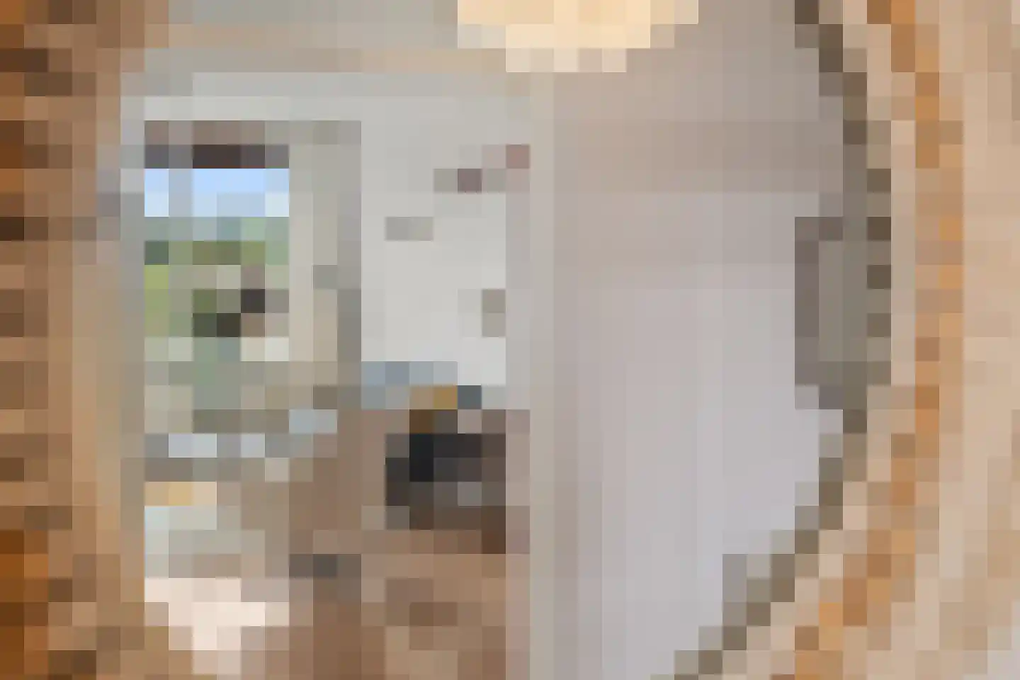 Wiekslag 127 Amersfoort thumbnail 21