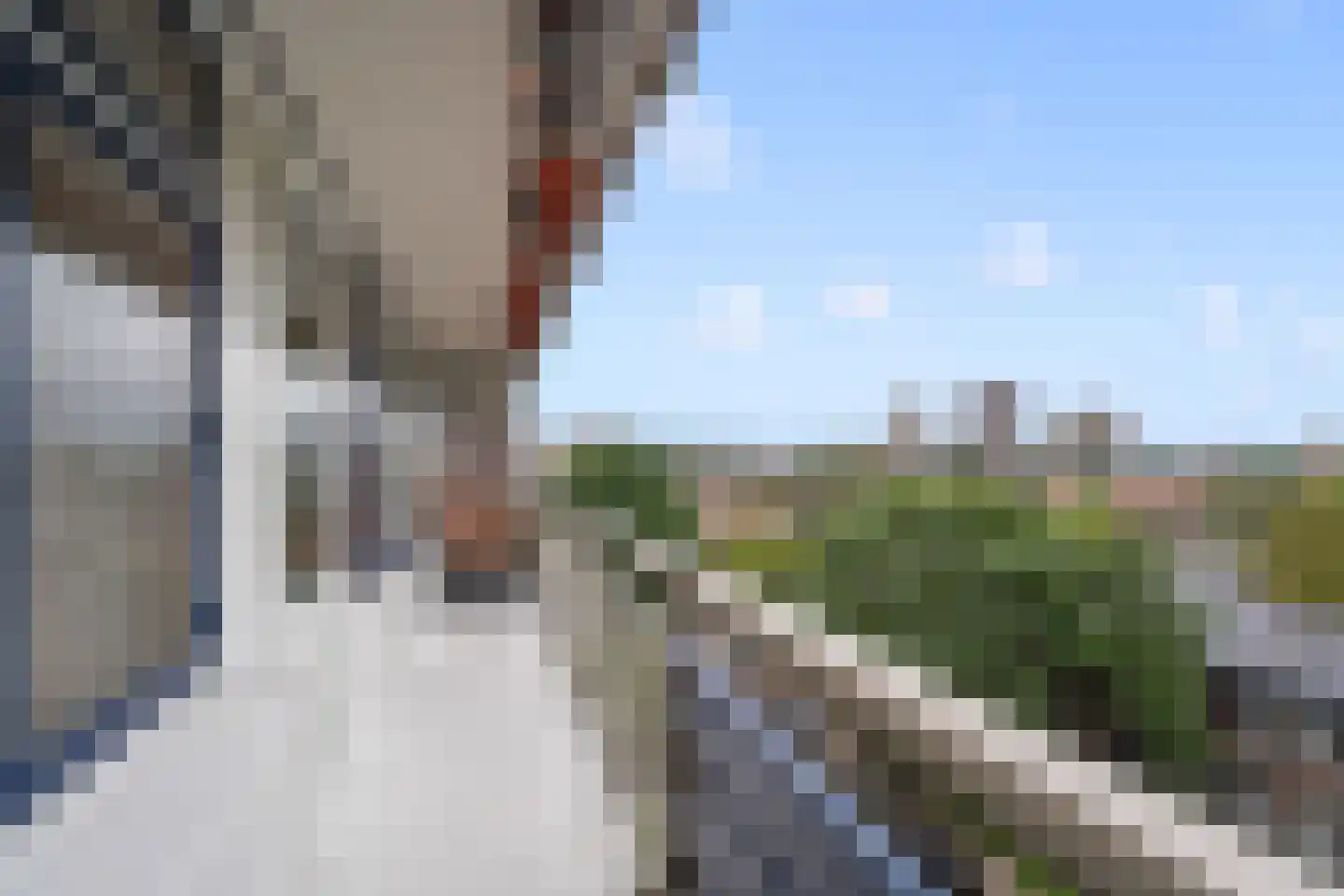 Wiekslag 127 Amersfoort thumbnail 7