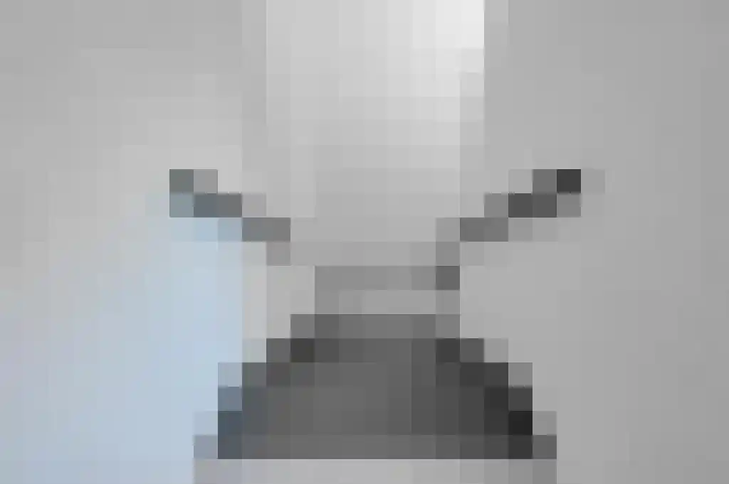 Wiekslag 13 A Veghel thumbnail 9