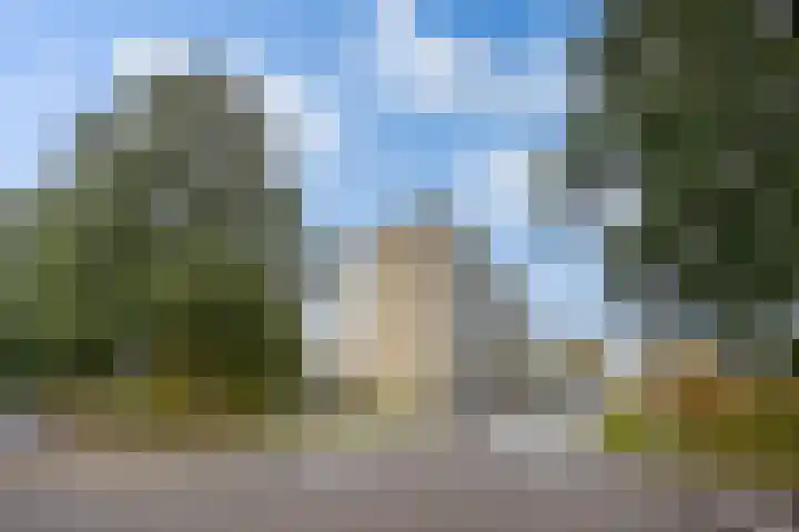 Wiekslag 153 Amersfoort thumbnail 16