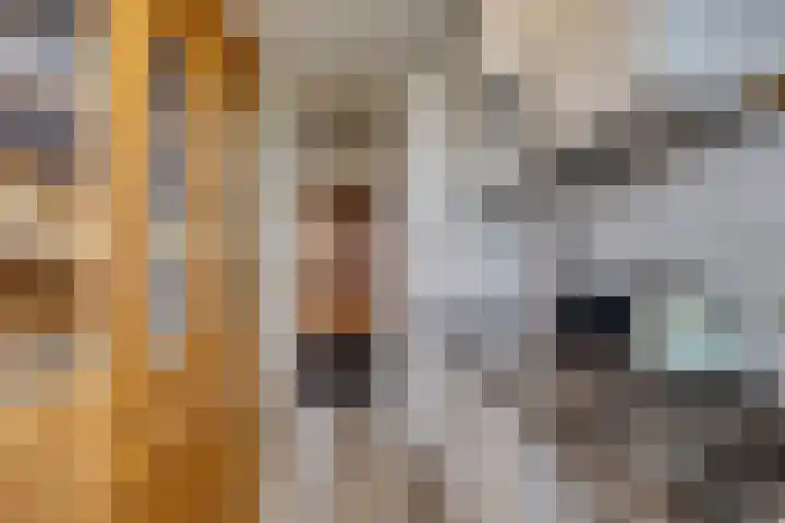 Wiekslag 153 Amersfoort thumbnail 8