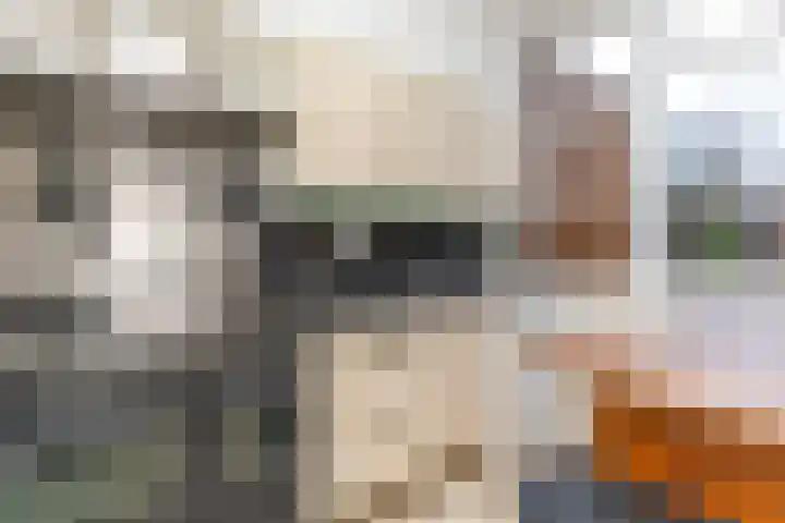 Wiekslag 17 Heerjansdam thumbnail 12