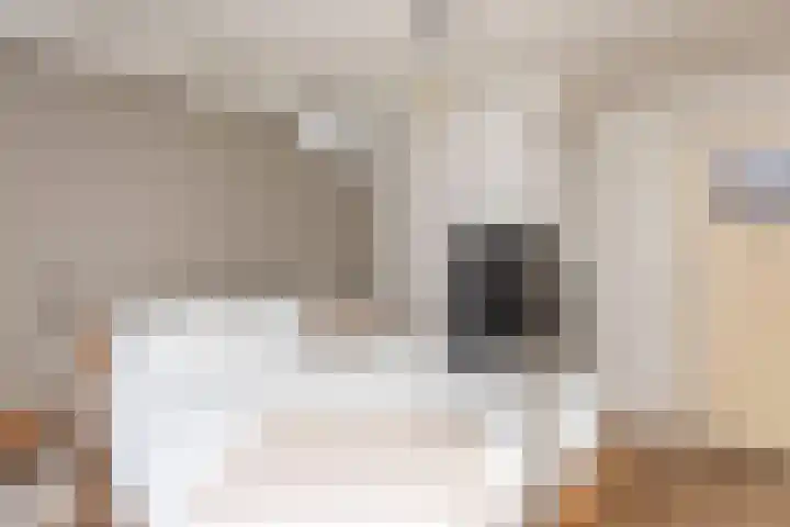 Wiekslag 17 Heerjansdam thumbnail 20