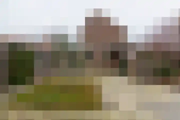 Wiekslag 17 Heerjansdam thumbnail 45