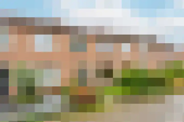 Wiekslag 185 Amersfoort thumbnail 34
