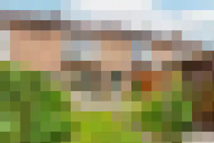 Wiekslag 185 Amersfoort thumbnail 4