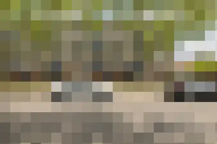 Wiekslag 213 Amersfoort thumbnail 23